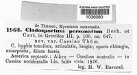 Nothopassalora personata image